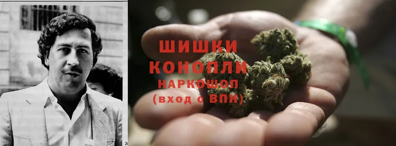 Бошки Шишки OG Kush  Бикин 